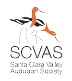 SCVAS