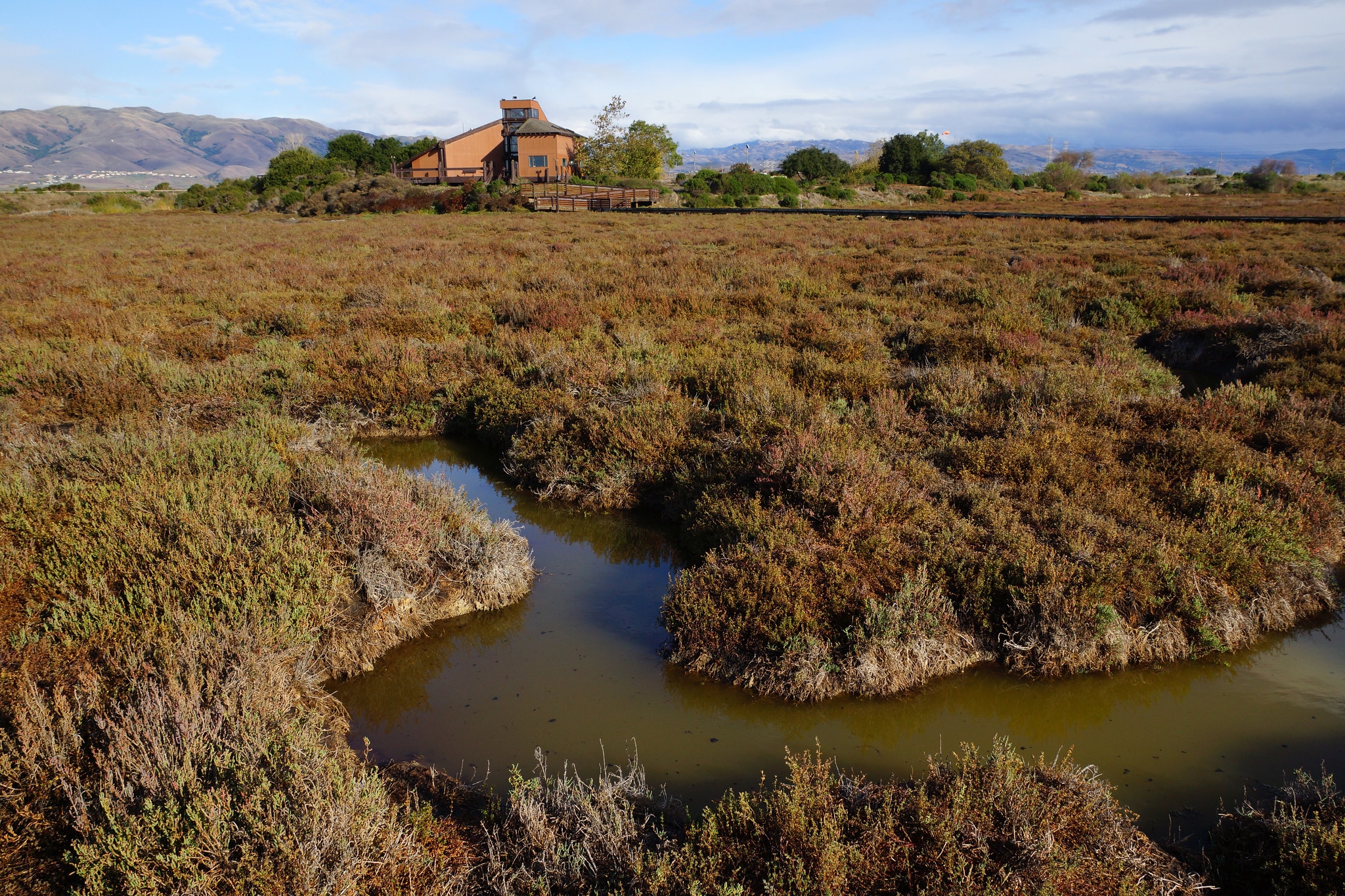 Wetlands, Don Edwards SF Bay National Wildlife Refuge, Alviso
