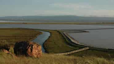 Don Edwards San Francisco Bay National Wildlife Refuge