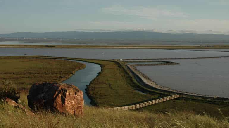 Don Edwards San Francisco Bay National Wildlife Refuge