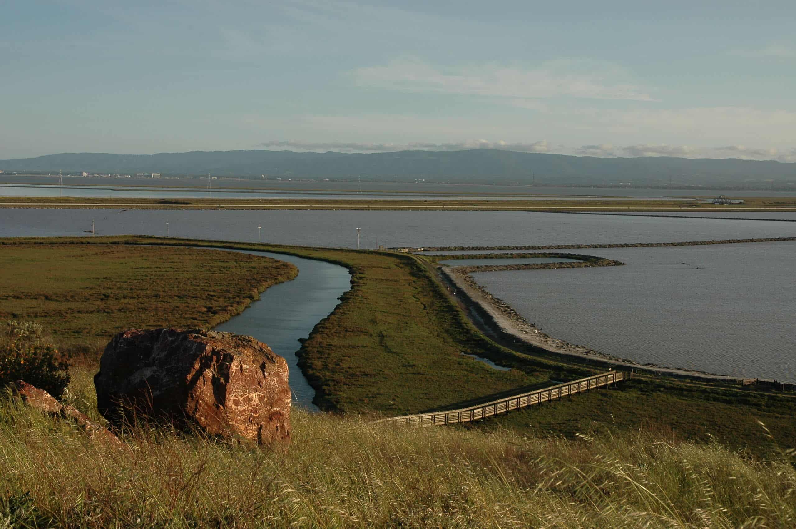 Don Edwards San Francisco Bay National Wildlife Refuge